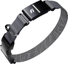 Fi Series 3+ Smart GPS Dog Tracker Collar Health Monitor Waterproof LED