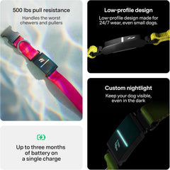 Fi Series 3+ Smart GPS Dog Tracker Collar Health Monitor Waterproof LED