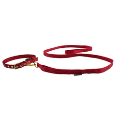 Leashes Seatbelt