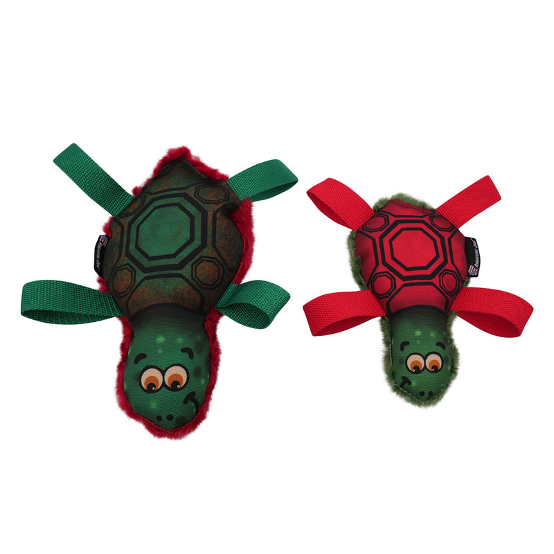 Tommy Turtle