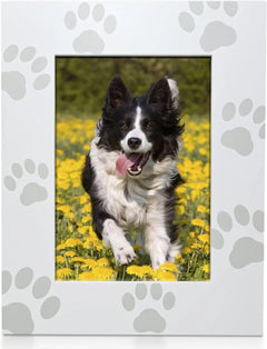 Green Pollywog Pet Memorial Shadowbox | Collar, Tag & Photo Keepsake