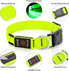 LED Dog Collar Rechargeable Light-Up Safety Collar for Night Walking (colors)