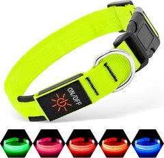 LED Dog Collar Rechargeable Light-Up Safety Collar for Night Walking (colors)