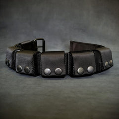 BESTIA DOG SPORT Weighted Dog Training Collar