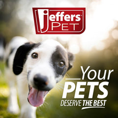 Jeffers Rolled Leather Dog Collars with Brass Hardware